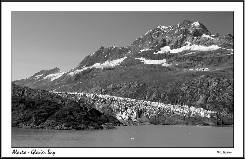 Alaska - Glacier Bay - Through My Dog's Eyes