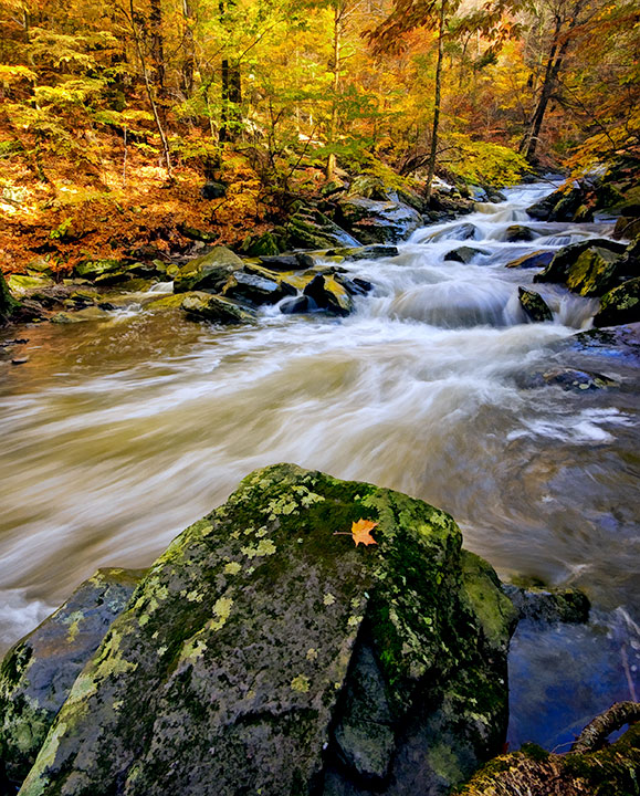 20081026-Catskills-Kaaterskill-D1132-FS-Glossy-2-1a2BZss3.jpg