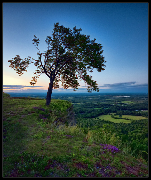 Serenity