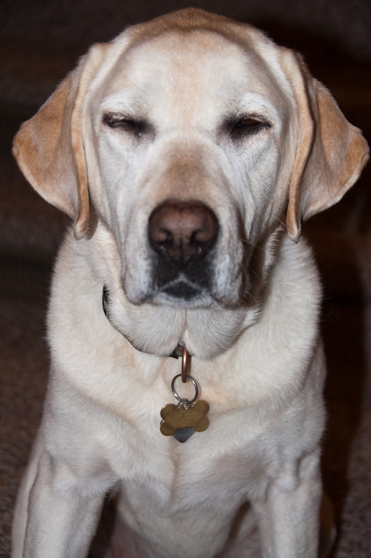 20100105 Puffer Tests D15504-s800 -4.jpg