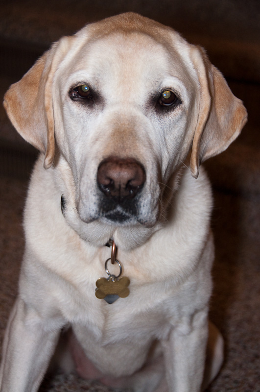 20100105 Puffer Tests D15503-s800 -3.jpg