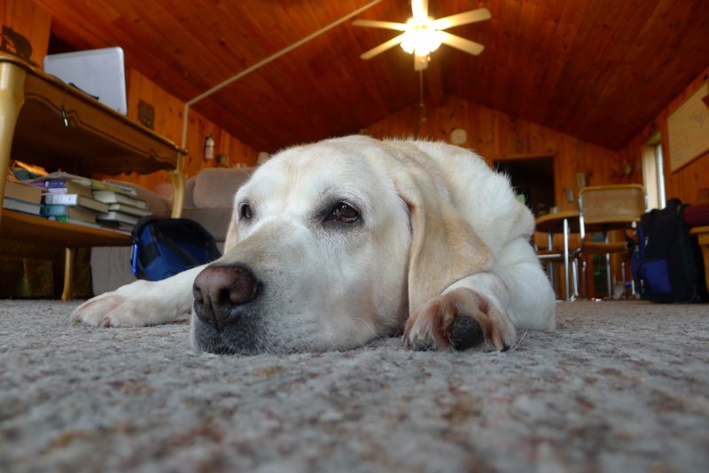 20110827 - Fern Lake-LX1000171