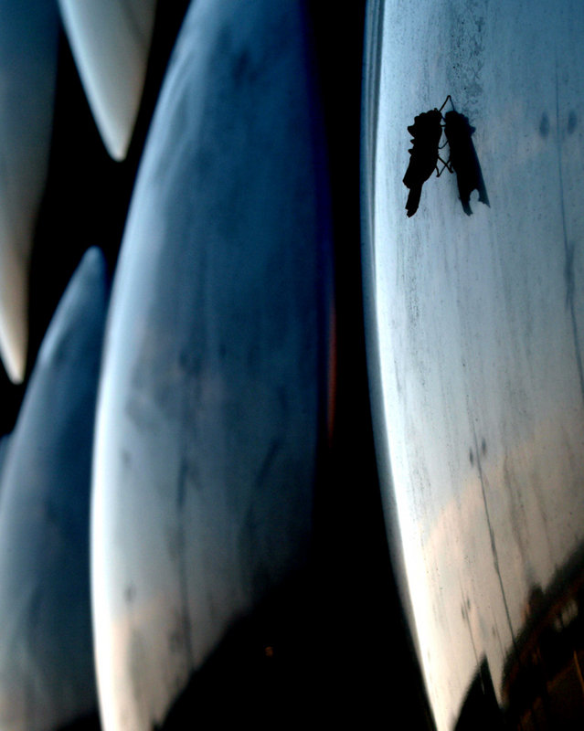 The Bullring (20)