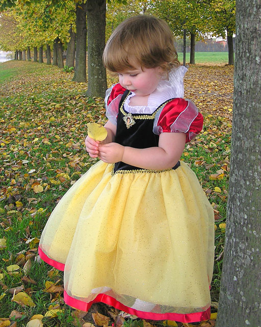 Snow White contemplates autumn (II)