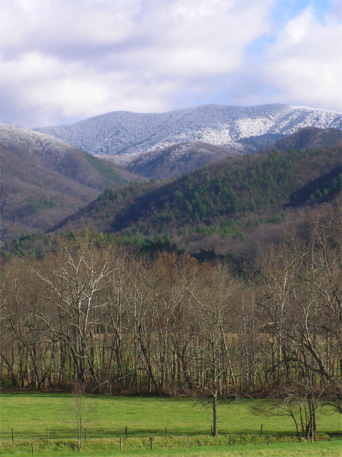 Snow in the Smokies