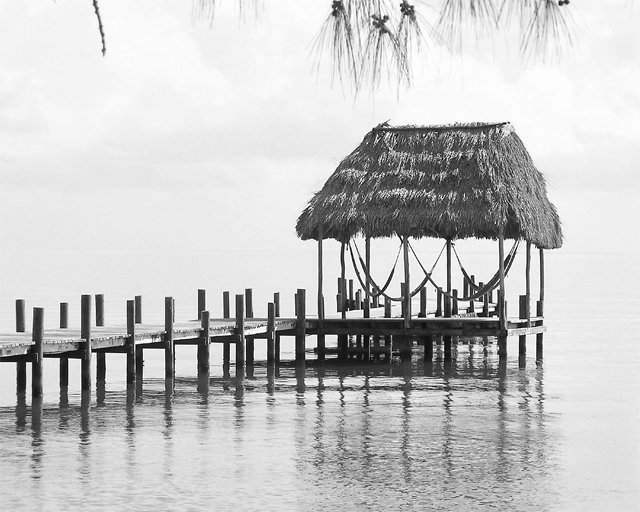 Hammocks on the Sea