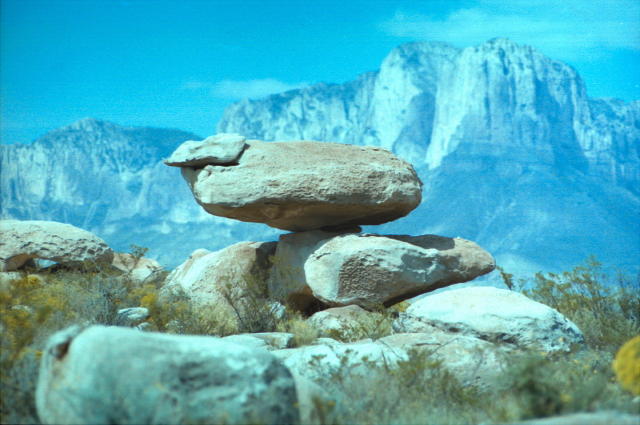 natural balance