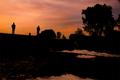 Sunset Fishing