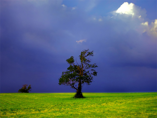 Lonely