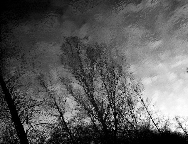 Reflections