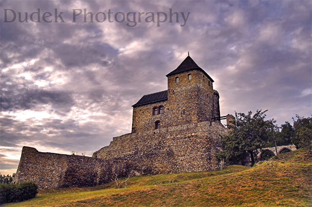 Bedzine Castle, Poland