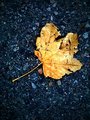 All Alone and Broken.
