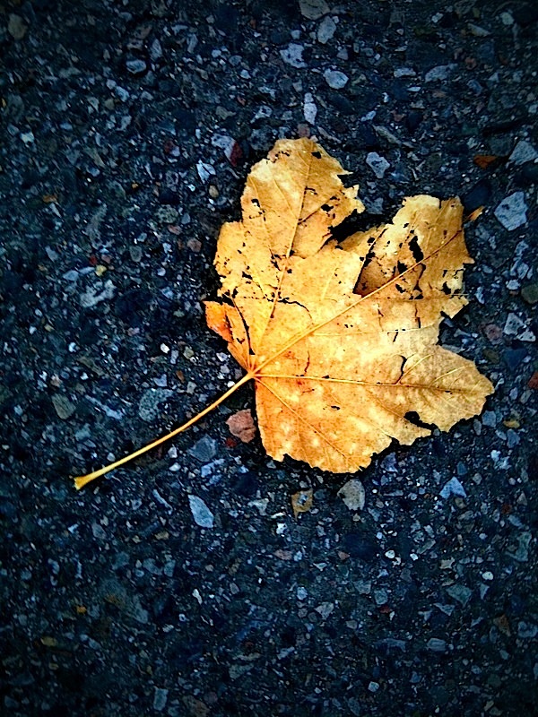 All Alone and Broken.