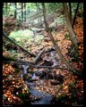 Hidden Stream