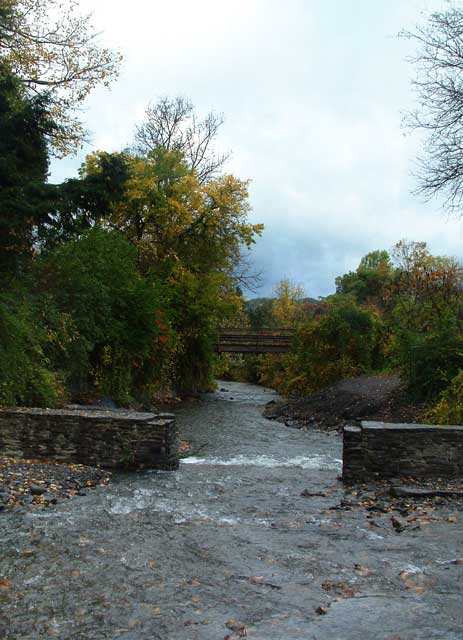 beginning.jpg