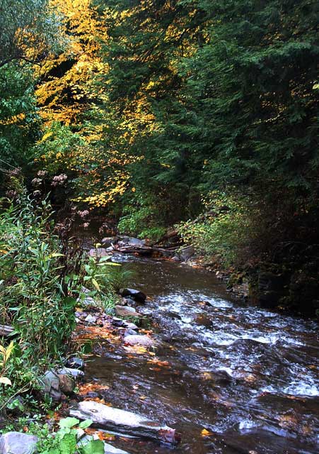 lowercreek.jpg