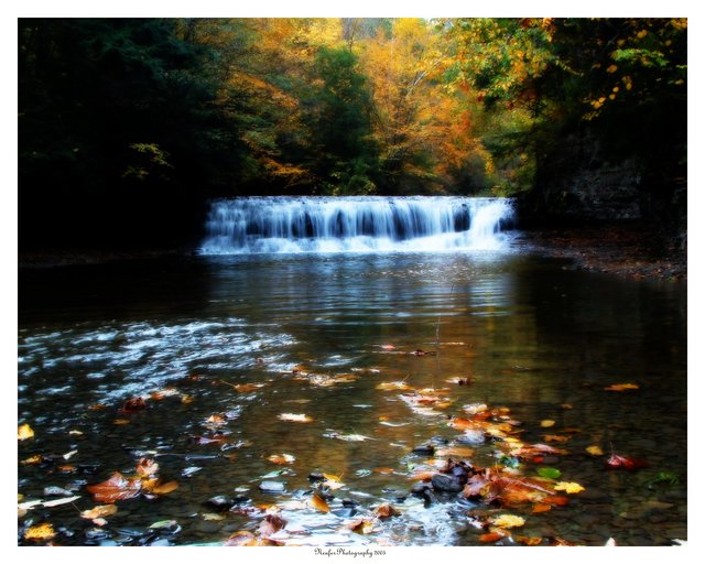 Falls