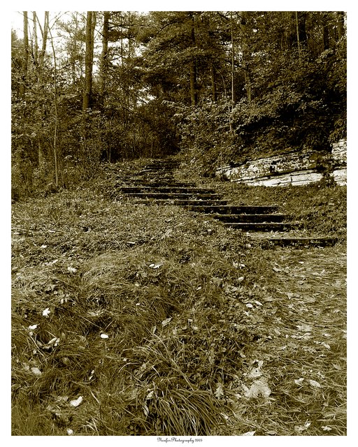 Sepia Toned Stairs