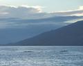 Maui rowers.jpg