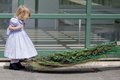 Chasing the Peacock