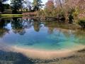 Spring Hole