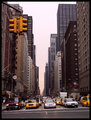 Avenue of the Americas II