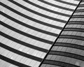 Urban Wings