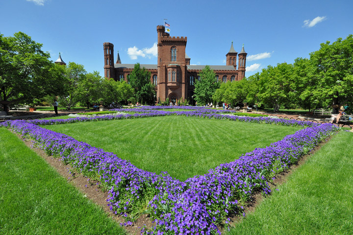The Castle