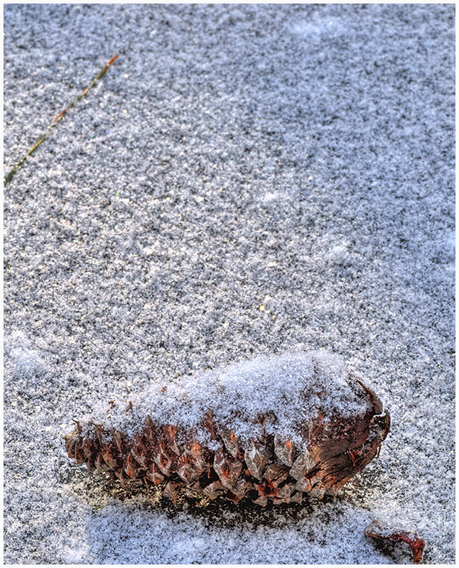 Dusting