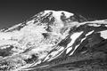 Climbing Rainier