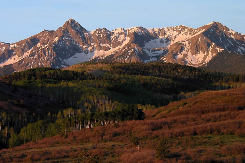 Near Dallas Divide
