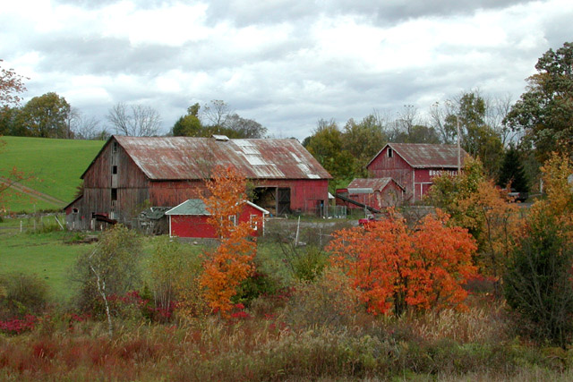 Red Barn