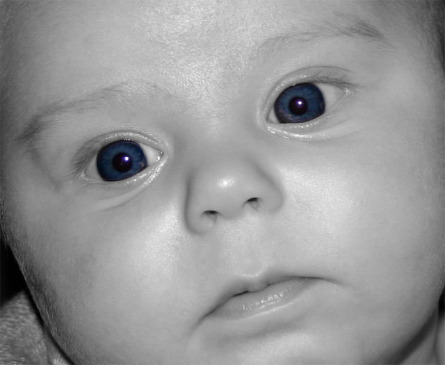 Blue Eyed Boy