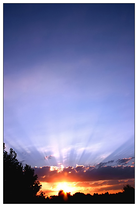 Blue Morning