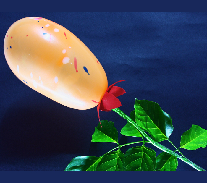 Balloon Blossom_V4