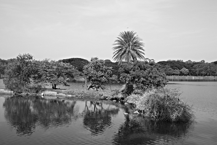 IMG_1212