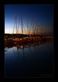 IMG_3788 copy 800.jpg