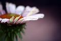 IMG_8215 copy2.jpg