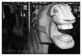 IMG_8814 640px bw copy.jpg