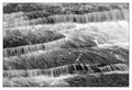 CRW_0327 bw web.jpg