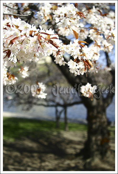 IMG_6872 copy.jpg