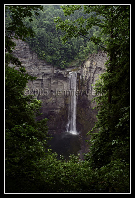 IMG_8092 copy.jpg