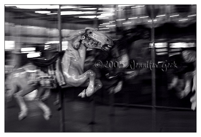IMG_8976 640px copy.jpg