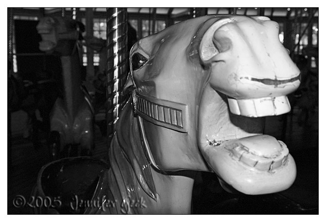IMG_8814 640px bw copy.jpg