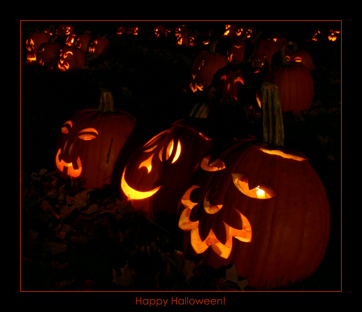 IMG_5073 copy 600.jpg