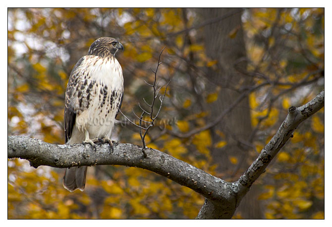 CRW_0282 copy web.jpg