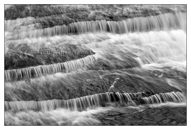 CRW_0327 bw web.jpg