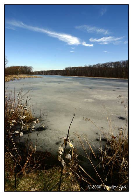 IMG_1982_web.jpg