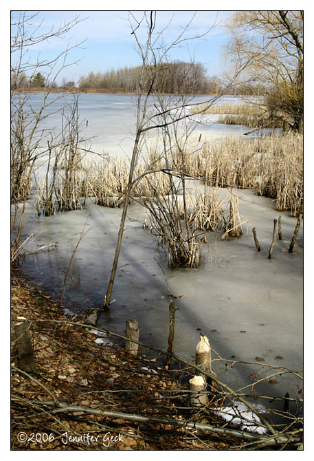 IMG_2002_web.jpg