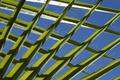 Palm_0065.jpg